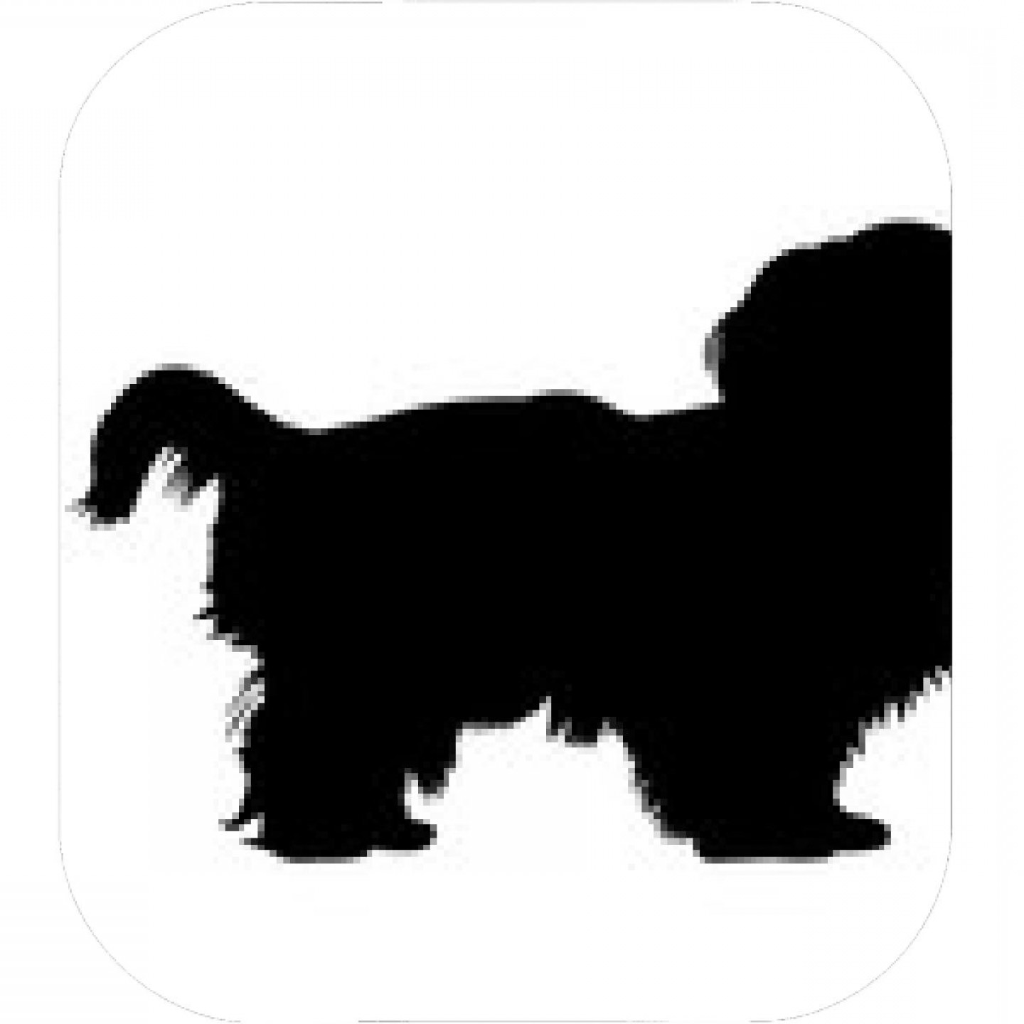 Shih Tzu Silhouette Vector at Vectorified.com | Collection of Shih Tzu