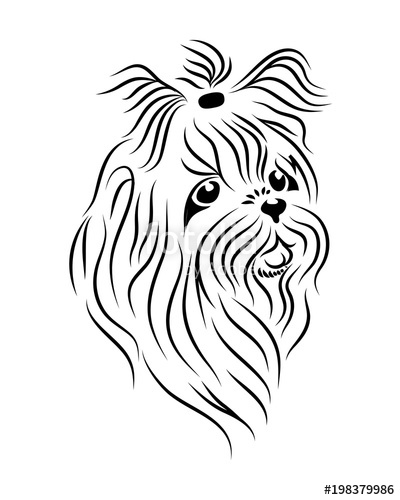 400x500 Shih Tzu Dog Line Art, Tribal Freehand Vector Illustration