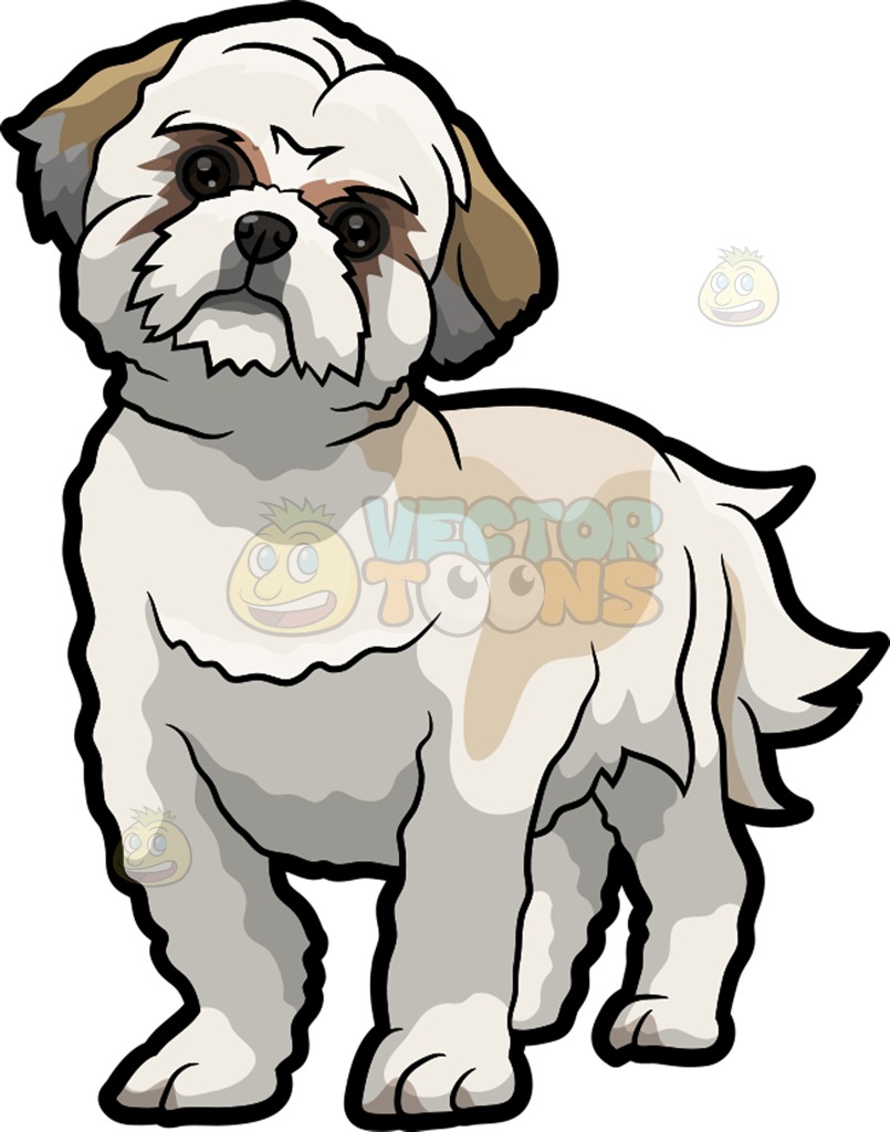 Download Shih Tzu Silhouette Vector at Vectorified.com | Collection ...