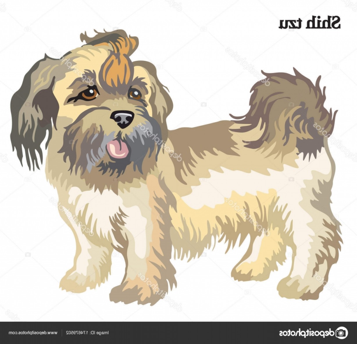 1228x1182 Stock Illustration Shih Tzu Vector Illustration Createmepink