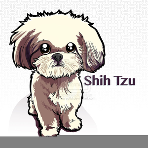 Shih Tzu Vector