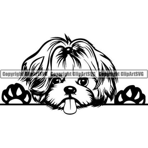 570x570 Shih Tzu Peeking Dog Breed K Toy Group Lap Animal Pet Etsy