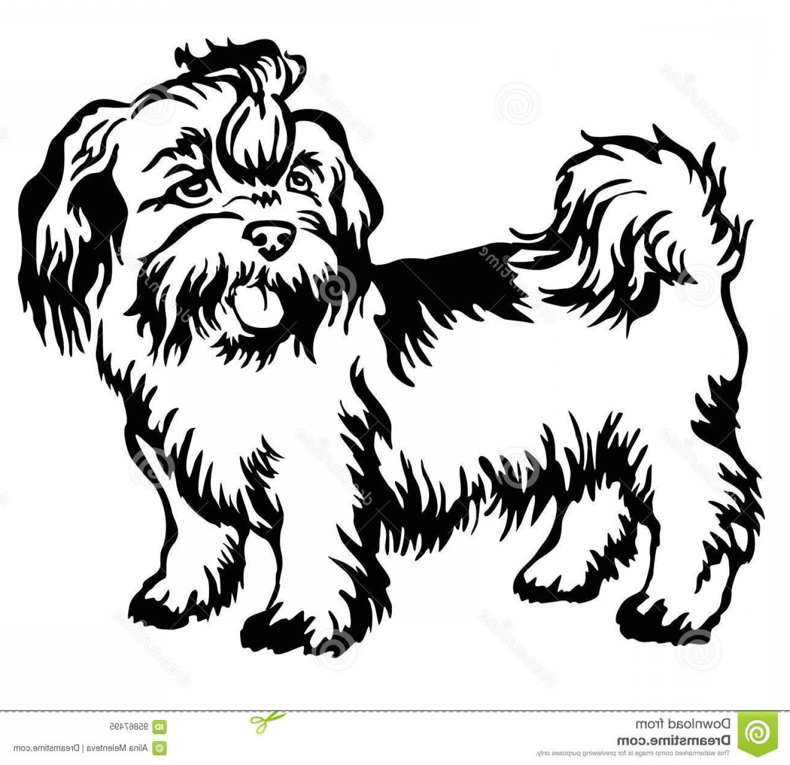 1560x1512 Shih Tzu Clipart Vector Catchsplace
