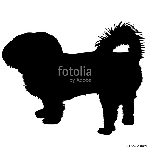 500x500 Shih Tzu Dog Silhouette Vector Graphics Stock Image And Royalty