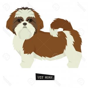 300x300 Cute Shih Tzu Cartoon Dog Vector Catchsplace