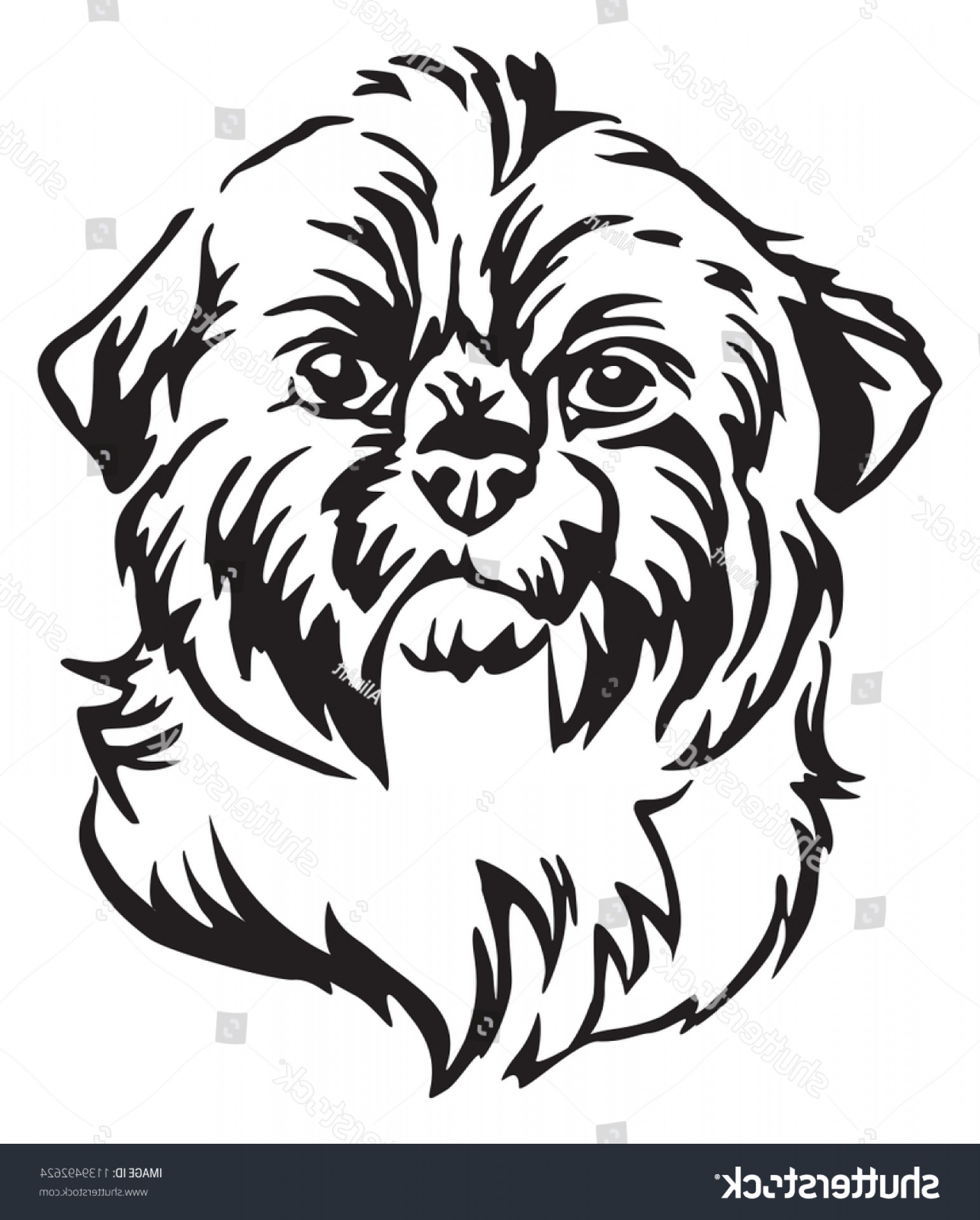 1543x1920 Shih Tzu Vector Cartoons Lamaison