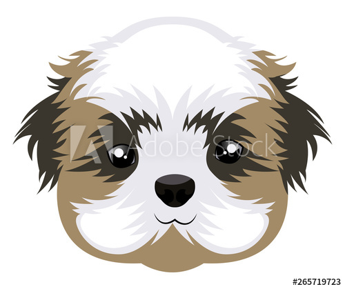 500x419 Shih Tzu Illustration Vector On White Background