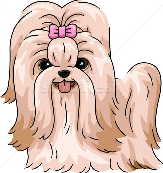 565x600 Shih Tzu Vector Illustration Lenm