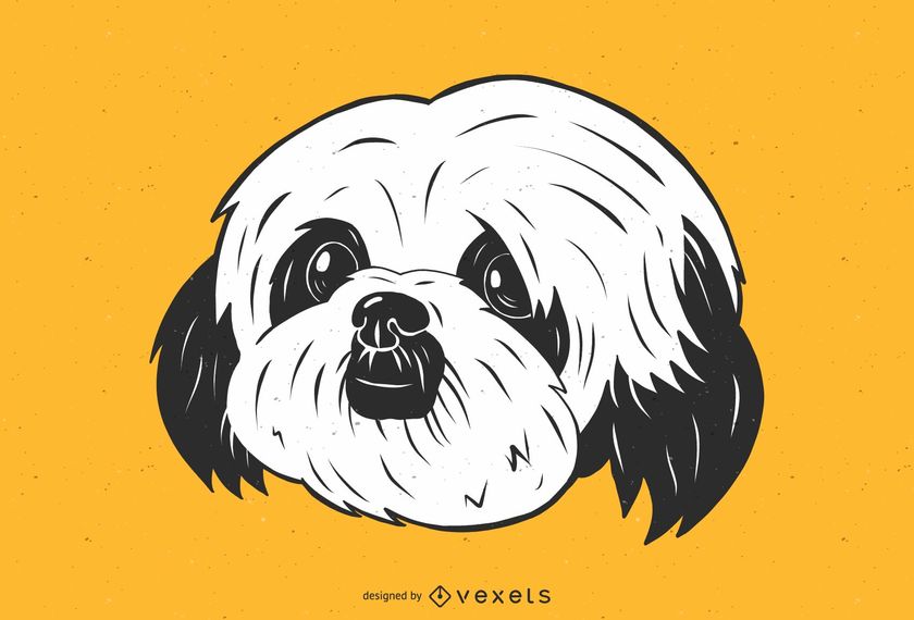 840x570 Cute Shih Tzu Dog Illustration