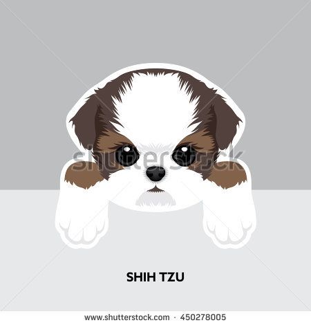 450x470 Vector Illustration Portrait Of Shih Tzu Puppy Dog Isolated