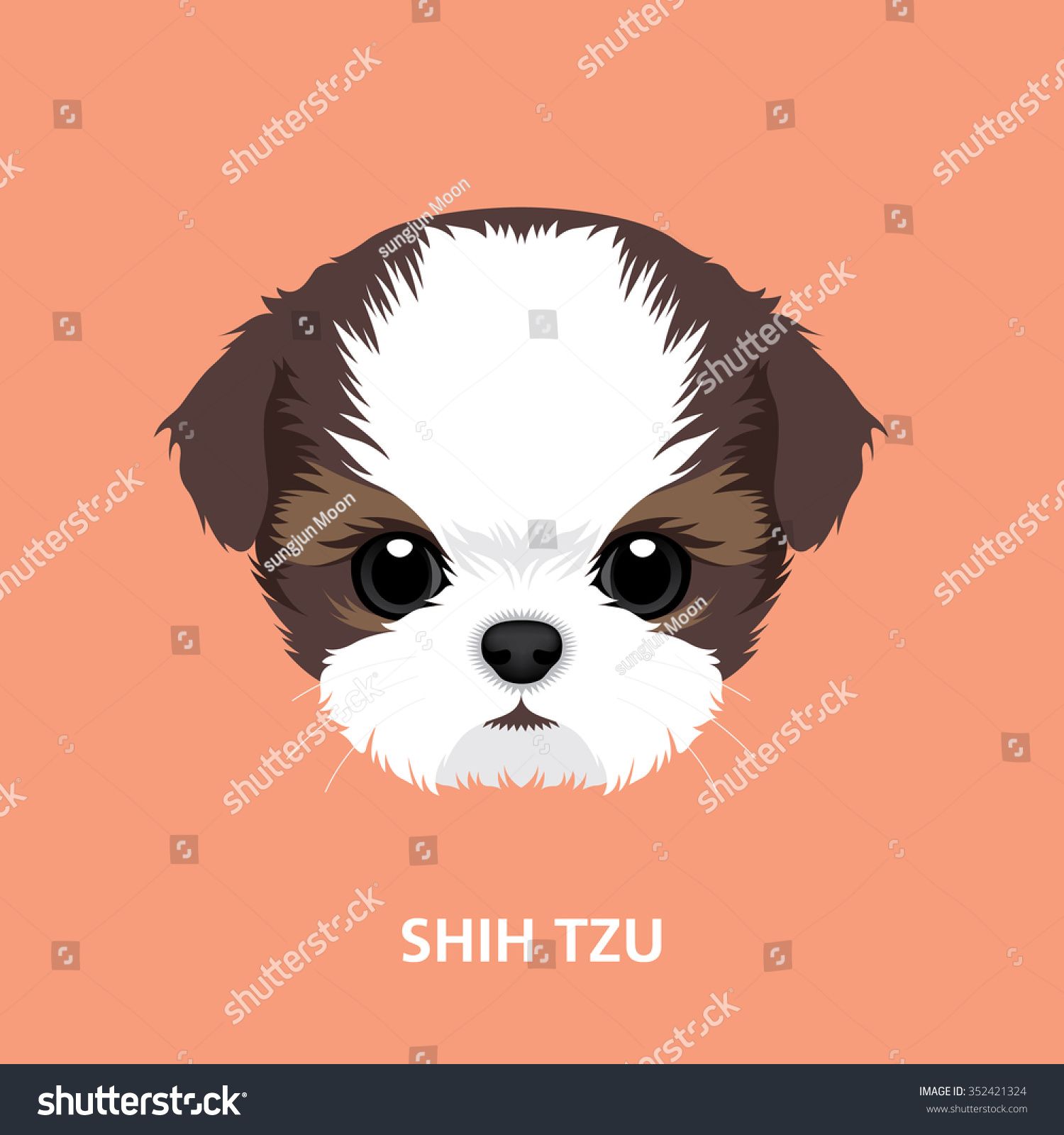 1500x1600 Vector Illustration Portrait Of Shih Tzu Puppy Art Of Dog Face