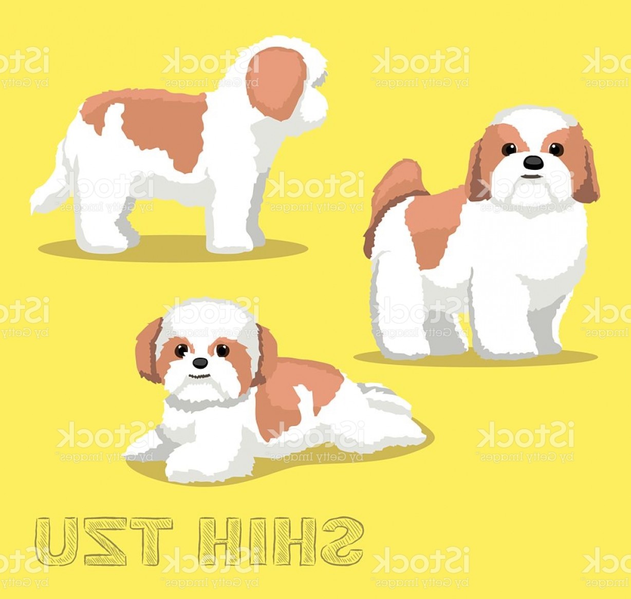 1228x1167 Dog Shih Tzu Cartoon Vector Illustration Gm Createmepink