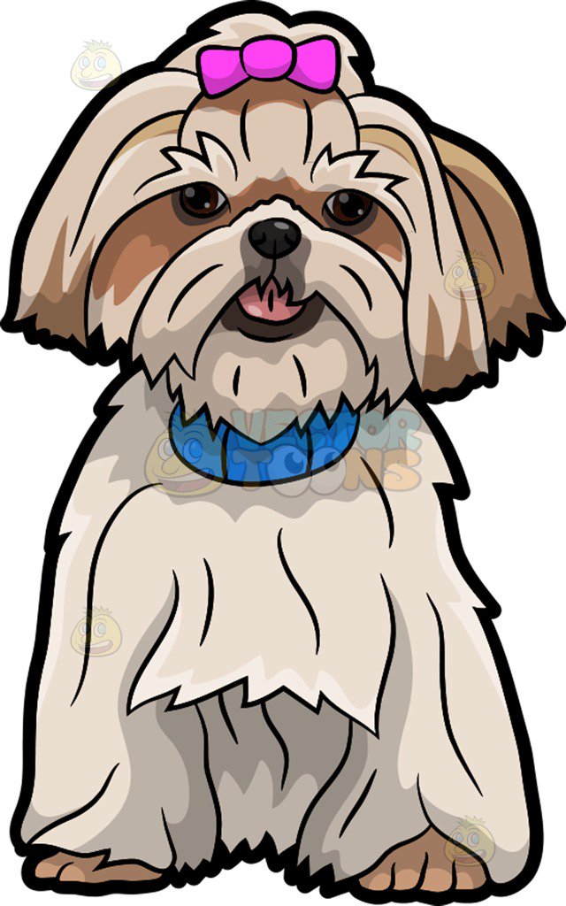 640x1024 Free Collection Of Head Clipart Shih Tzu Download Transparent
