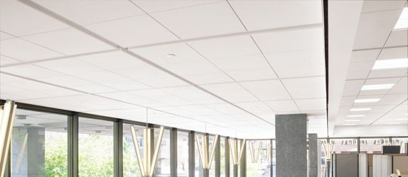 574x250 Ultima Vector And Shiplap