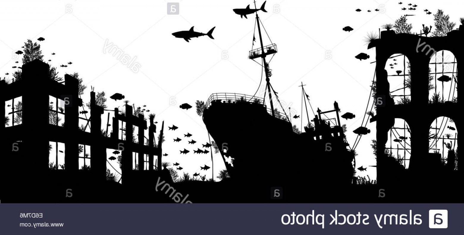 1560x790 Stock Photo Editable Vector Foreground Silhouette Of Marine Life