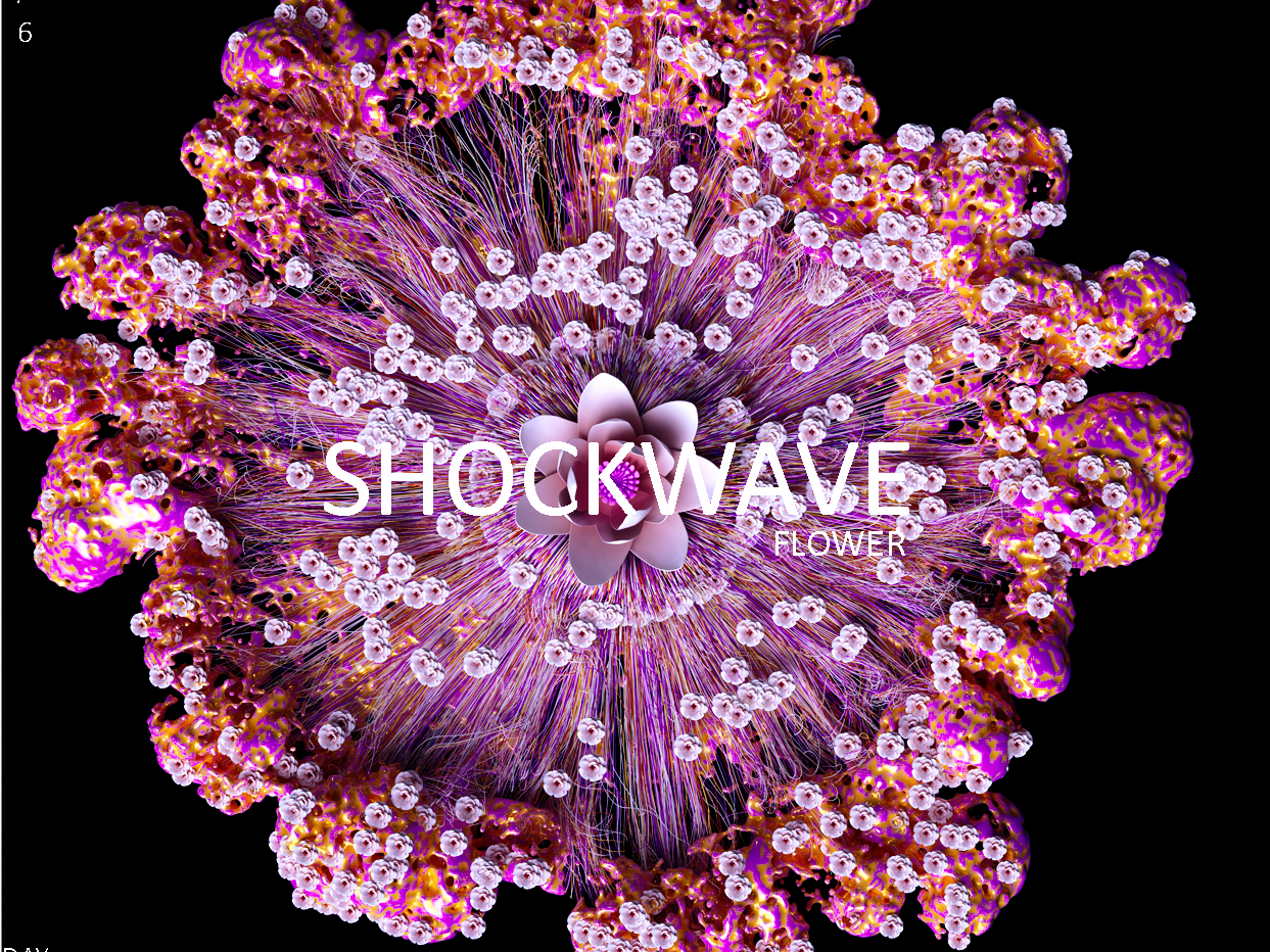 1243x932 Shockwave Flower