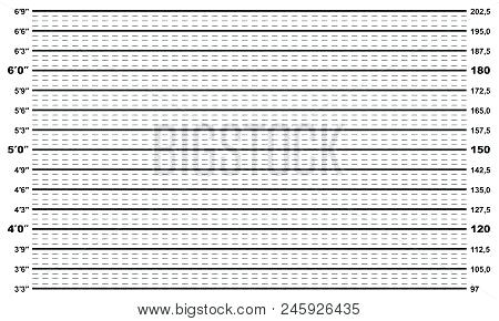 450x290 Poster Of Police Mug Shot Vector Height Lineup Or Mugshot