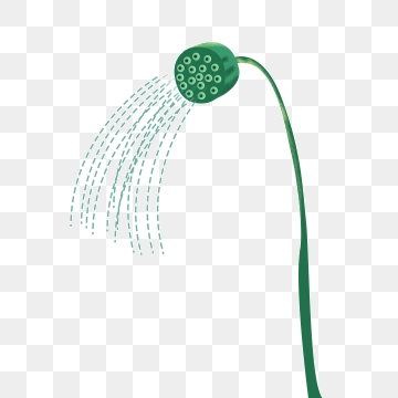 360x360 Shower Head Png, Vector, And Clipart With Transparent