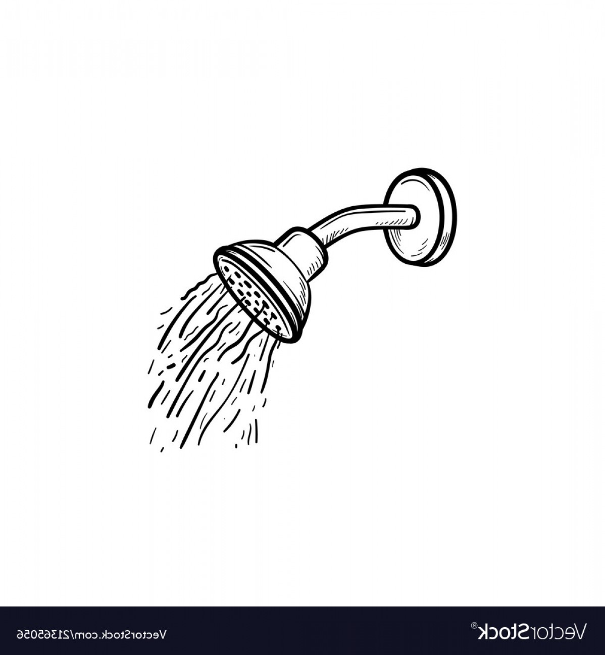 1198x1296 Handheld Shower Vector Handandbeak