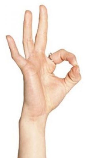 352x550 Shrek X Vector