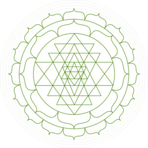 300x300 Shri Yantra