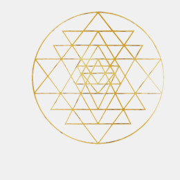 260x260 Circle Logo Png Download