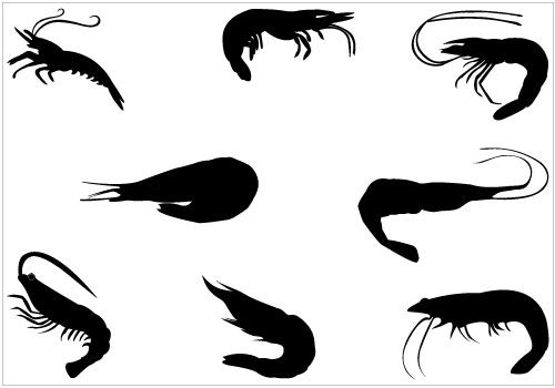 500x350 Shrimp Silhouette Vector Pack Silhouette Clip Art Silhouette