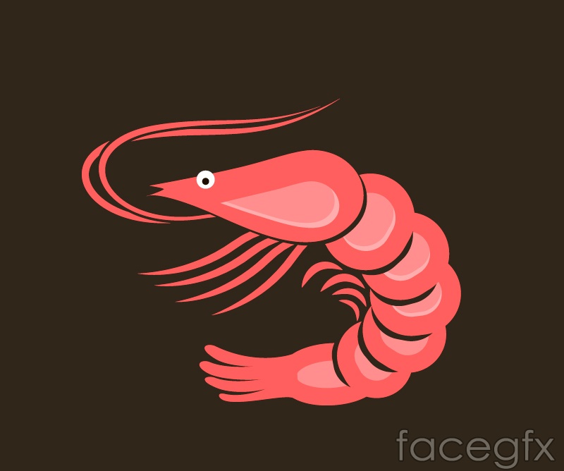 800x668 Long Shrimp Pink Cartoon Vector Over Millions Vectors, Stock