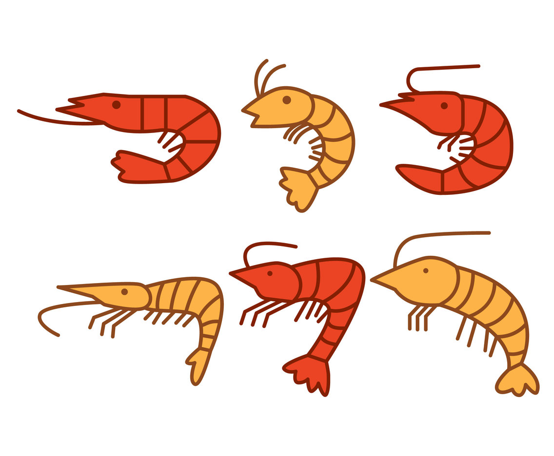 1136x936 Shrimp Vector Vector Art Graphics
