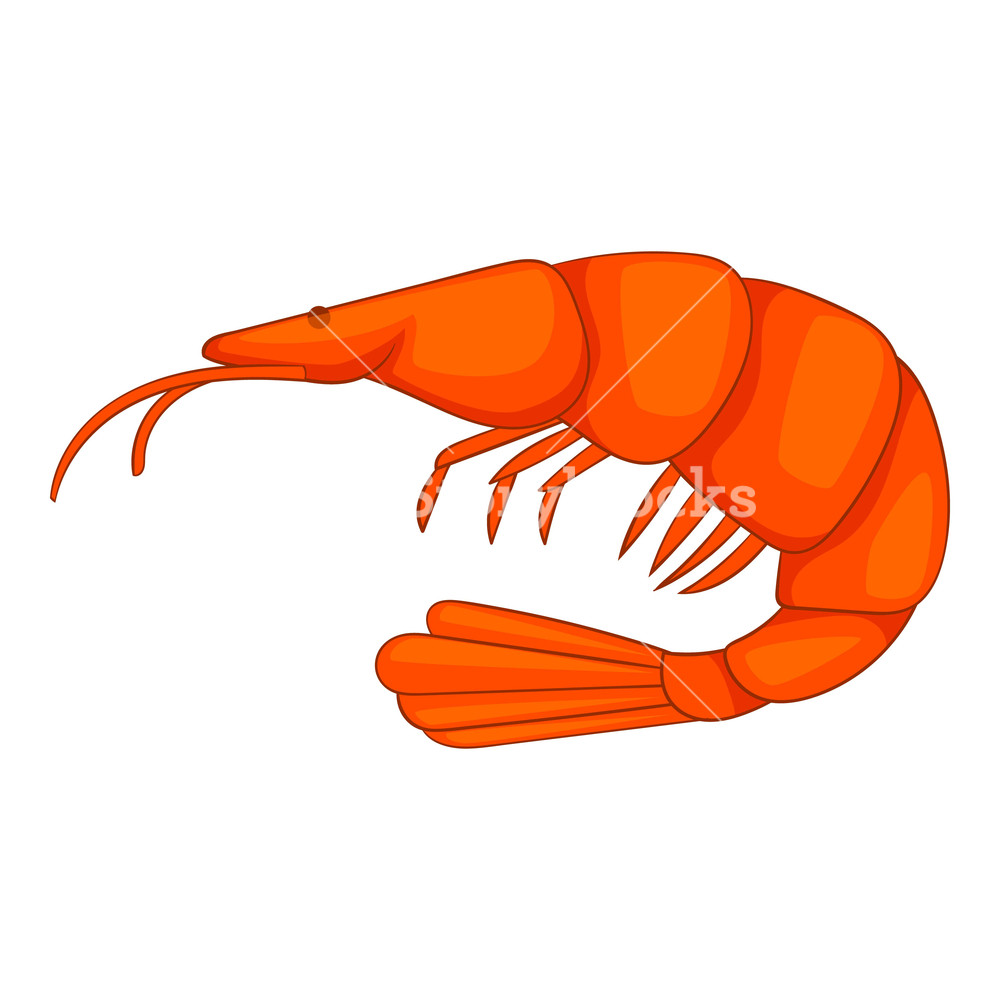 1000x1000 Shrimp Icon Cartoon Illustration Of Shrimp Vector Icon For Web