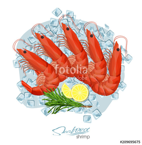 490x500 Shrimp With Rosemary And Lemon On Ice Cubes Vector Illustrationin