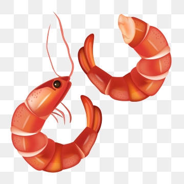 Shrimp Cartoon Vector at Vectorified.com | Collection of Shrimp Cartoon ...