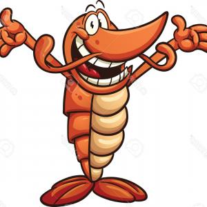 300x300 Silhouette Shrimp Vector Ornate Illustration Newwaysys