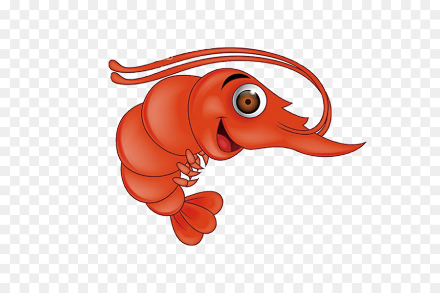 900x600 Vector Graphics Image Shrimp Seafood Cartoon