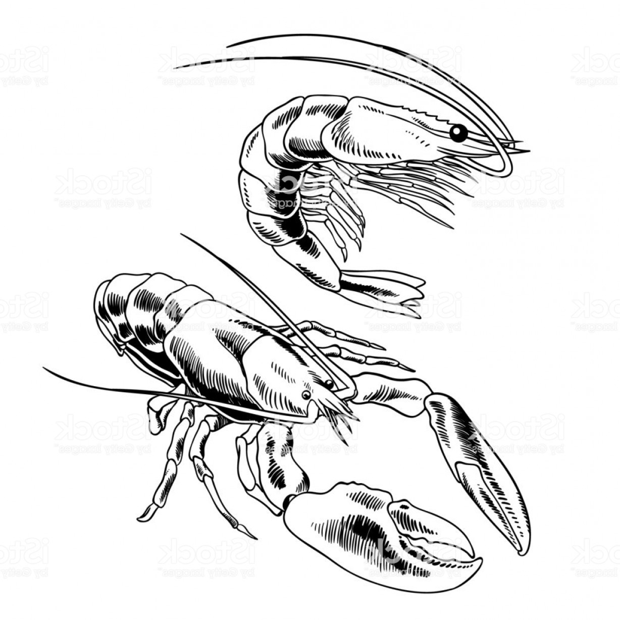 1228x1228 Seafood Set With Lobster And Shrimp Gm Newwaysys