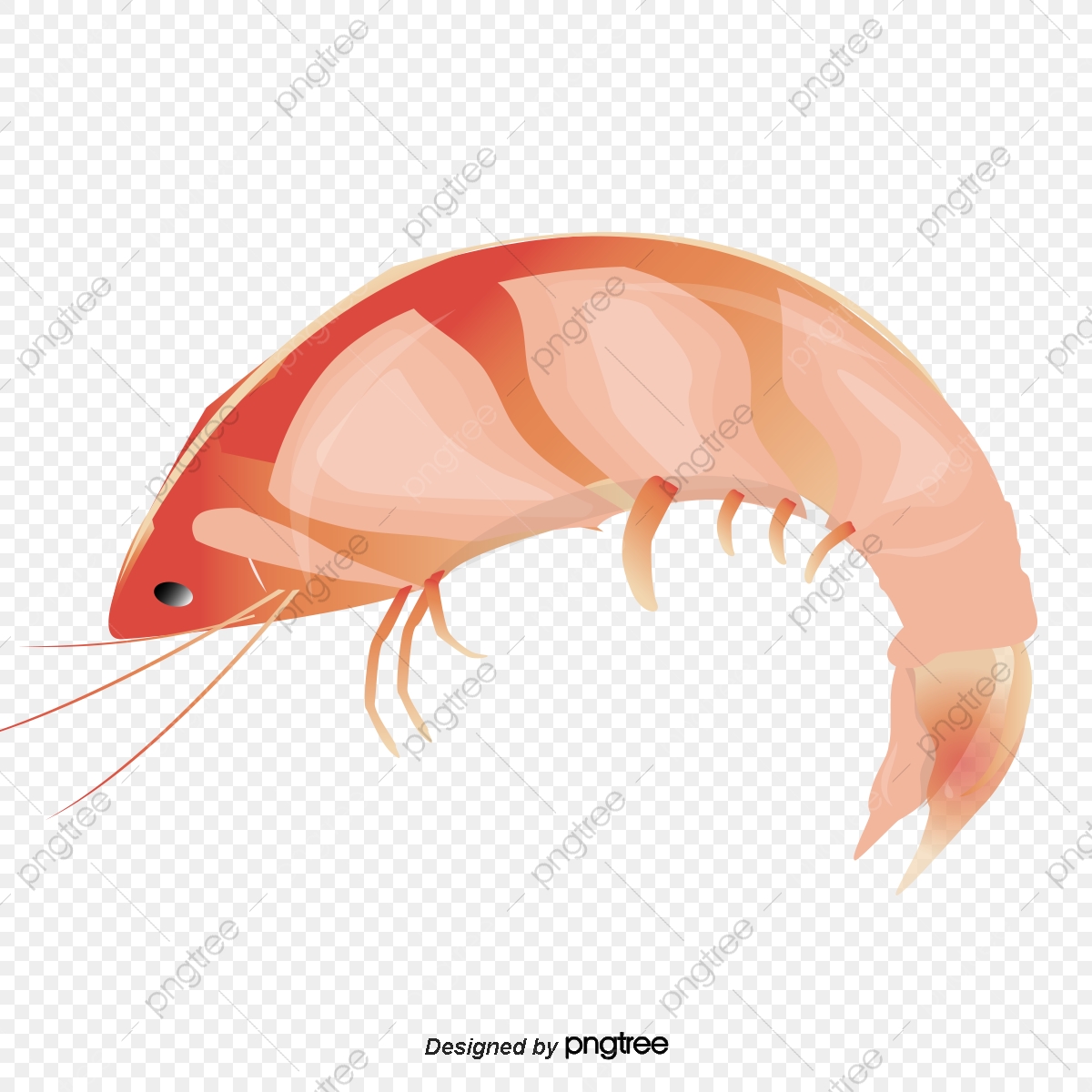 1200x1200 Shrimp, Vector, Red Png And Vector With Transparent Background
