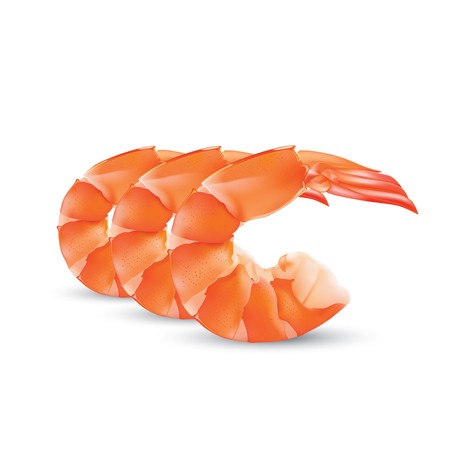 450x450 Shrimp Seafood Shrimp Vector Illustration Isolated On White