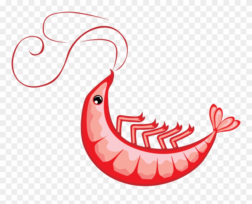 880x712 Shrimp Vector Clip Art