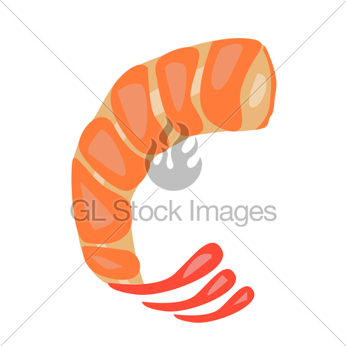 500x500 Shrimp Vector Illustration Gl Stock Images