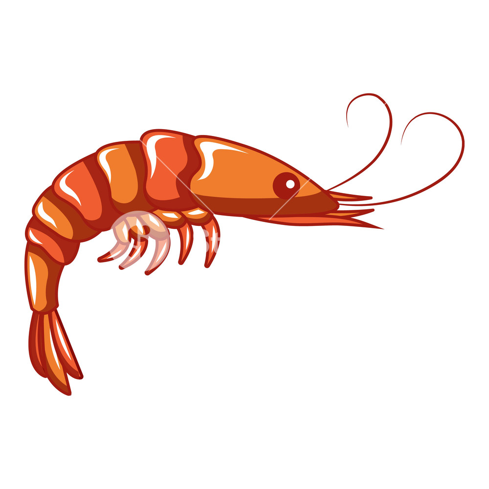 1000x1000 Shrimp Icon Cartoon Of Shrimp Vector Icon For Web Design Isolated