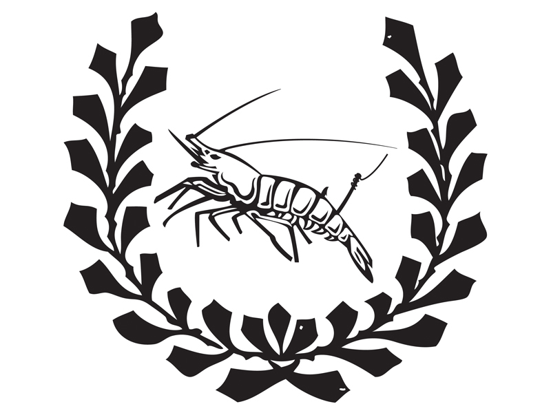 800x600 Shrimp Vector Stock Images