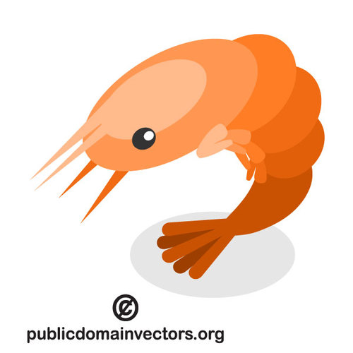 500x500 Shrimp Vector Clip Art
