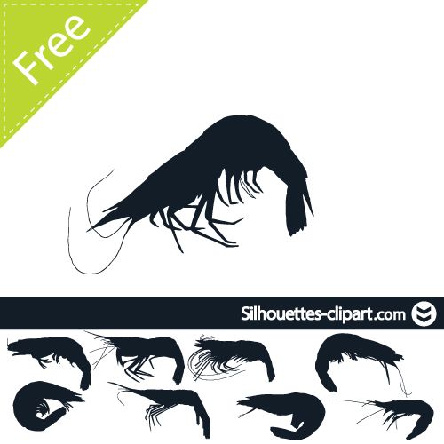 500x500 Shrimp Vector Silhouette Silhouettes Clipart Vector Image