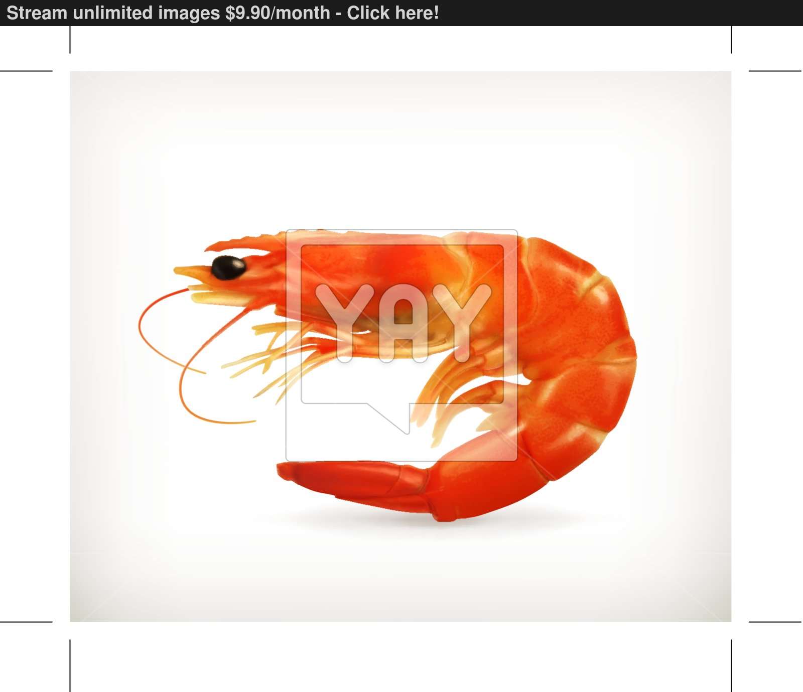 1600x1379 Shrimp Vector Vector