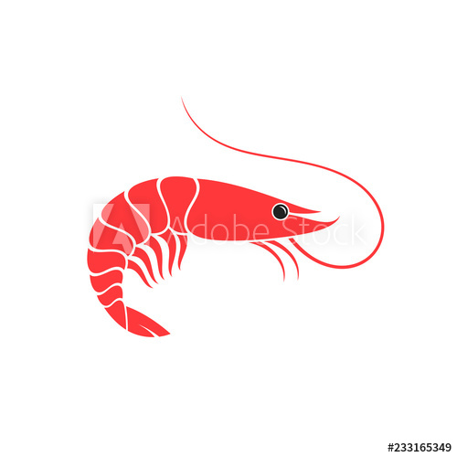 500x500 Shrimp Vector Illustration Prepared Prawn On White Background