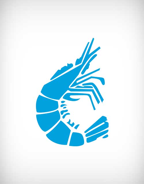 500x639 Shrimp Vector