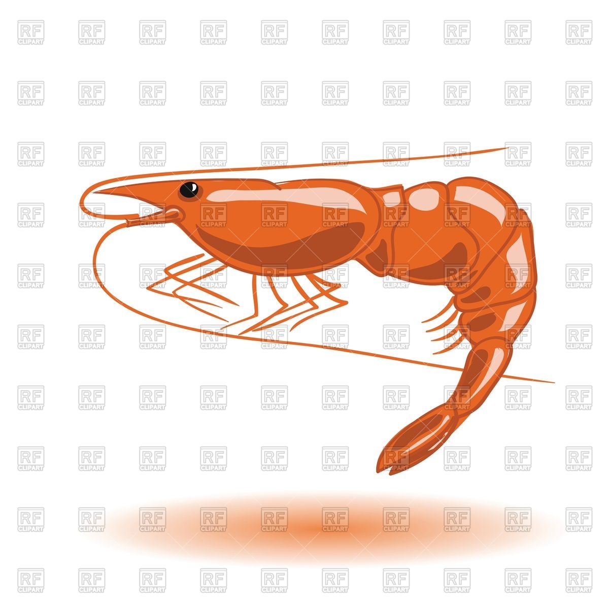 1200x1200 Orange Shrimp Vector Image Of Plants And Animals