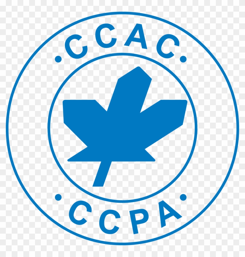 840x880 St Arnaud, Shriners Hospital For Children, And Mr