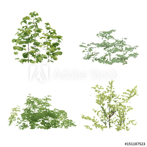 Realistic Vector Garden Grass Bush Shrub With Green Leaves 500x500 Realistic Vector Garden Grass Bush Shrub With Green Leaves