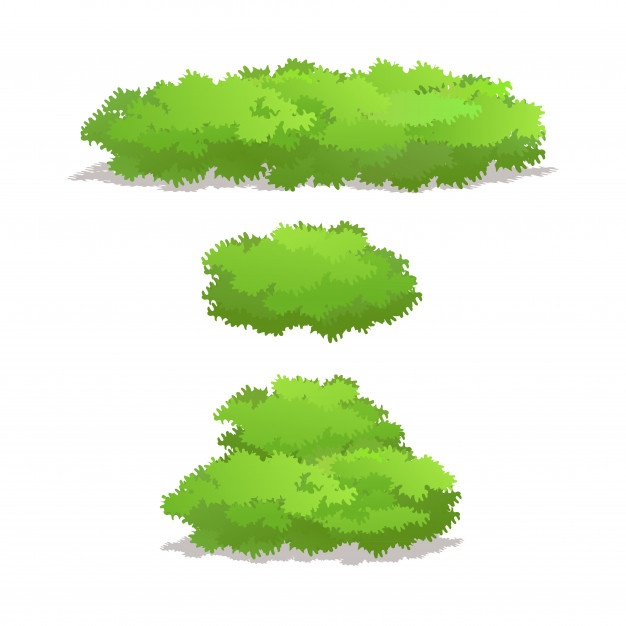 Set Of Shrubs With Various Shape Vector Illustration Vector 626x626 Set Of Shrubs With Various Shape Vector Illustration Vector